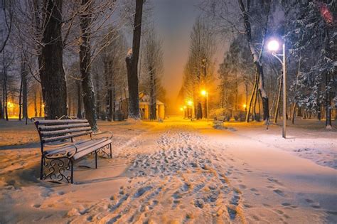 Premium Photo | Winter evening in a central park