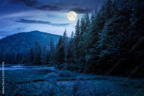 lake summer landscape at night. beautiful scenery among the forest in ...