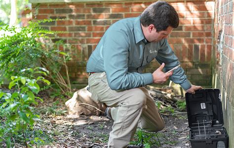 Rodent Control | Effective Pest Management Service Options