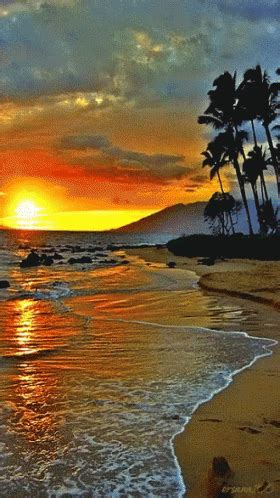 Sea Beach GIF - Sea Beach Nature - Discover & Share GIFs