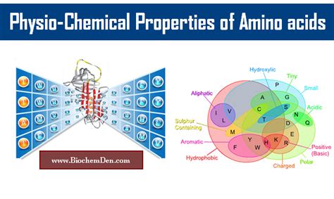 Physio Chemical Properties of amino acids