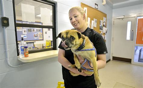 ANIMAL HOUSE: Catawba County's new shelter includes partnership between county, humane society ...