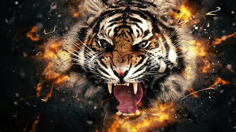 Tiger Head In Fire Fire, HD wallpaper | Peakpx