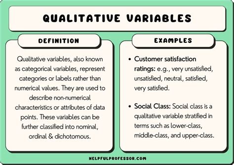 25 Qualitative Variable Examples (2024)