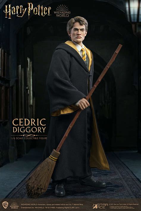 Cedric Diggory In Harry Potter And The Goblet Of Fire