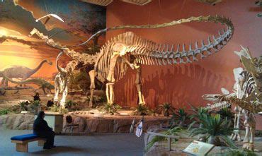 19 Seismosaurus (Jurassic) ideas | diplodocus, jurassic, species