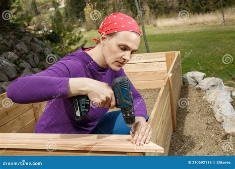 Woman Screwing Wooden Frame for a Raised Garden Bed Stock Photo - Image ...