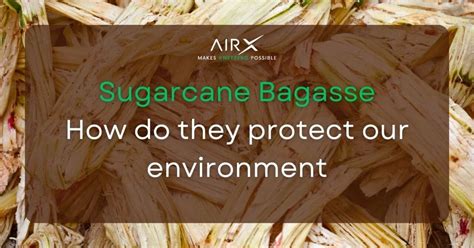 Sugarcane bagasse bio-composite: How can they protect the environment?