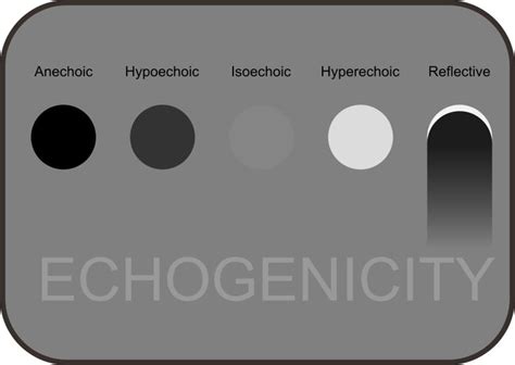 File:Ultrasound lesions shape.svg | Medical ultrasound, Diagnostic medical sonography ...