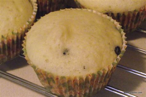 How to make Jiffy Mix Blueberry Muffins Better | Just My Experience