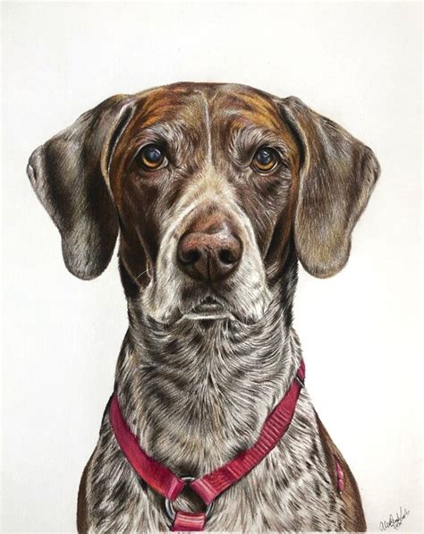 Realistic Pet Portrait Dog Drawing Colored Pencil Art From - Etsy