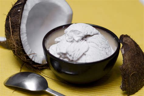 Coconut Ice Cream Recipe — Dishmaps