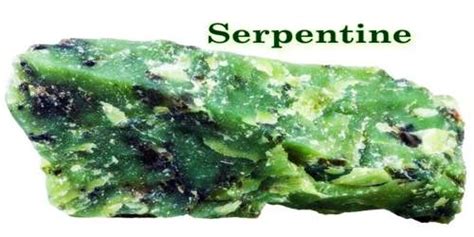 Serpentine - Assignment Point