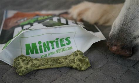 5 New Year's Resolutions For Your Dog #MintiesTreats