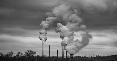 Fossil fuel pollution causes one in five premature deaths globally: study