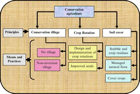 The three principles of conservation agriculture and the main practices ...