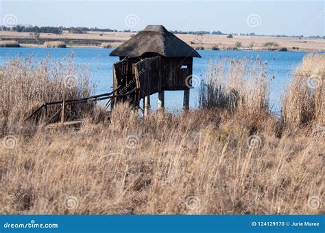 A bird hide in nature. stock photo. Image of hide, nature - 124129170