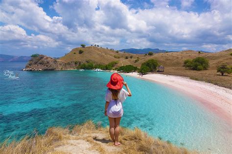 Pink Beach in Indonesia Komodo Islands