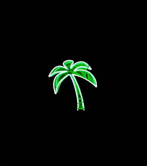 a green palm tree on a black background