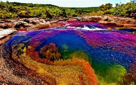 The Rainbow River of Colombia | The Rive Of Five Colors Colombia