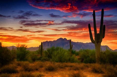 Deserts, Photographs and Fine art print on Pinterest