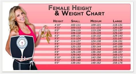 Female Weight Chart – What is Ideal Weight As You Get Older? | LTC News