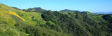 Cambria hiking trails. Find trails at www.SLOhike.com | San luis obispo county, Big sur hiking ...