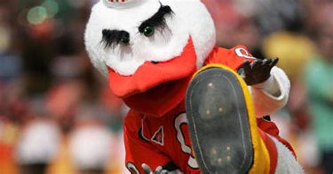 UM's Sebastian The Ibis In The Running To Join Mascot Hall Of Fame ...