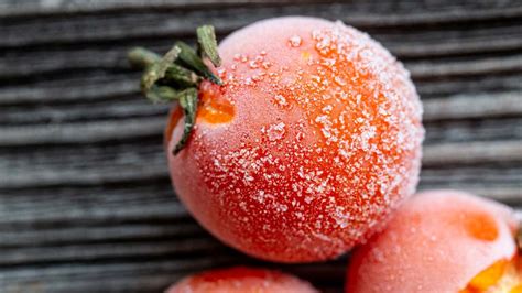 Why You Should Freeze Tomatoes Without Peeling Them First | Lifehacker