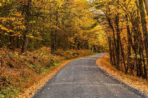 Autumn Scenes ~ Part 4 (Country Roads)