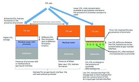 Hydrate formation mechanism at the gas-liquid interface and gas-hydrate... | Download Scientific ...