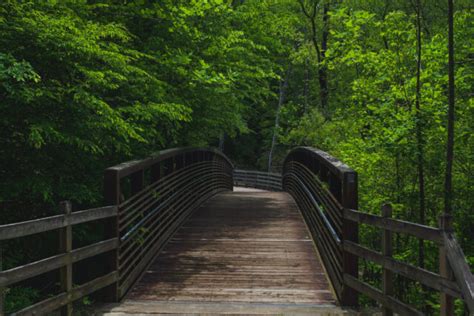 A Detailed Guide For The Cape Fear River Trail In Fayetteville, NC