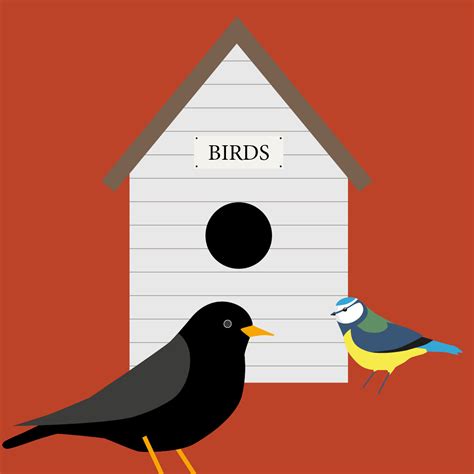 'How to'? Help nesting birds in the garden - See our free guide - Perrywood