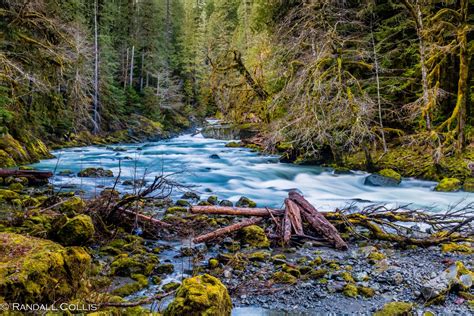 Olympic National Forest | Global Sojourns Photography