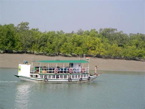 BEST TIME TO VISIT SUNDERBAN NATIONAL PARK