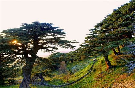 All In Lebanon: Top tourist attractions of Lebanon