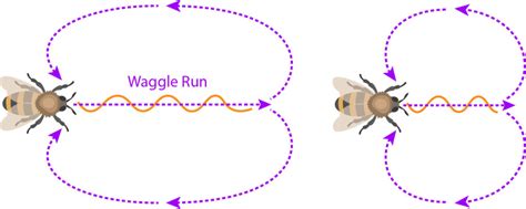 How Honey Bees communicates ? | PepperHub