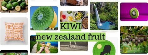 🥝 Kiwi New Zealand Fruit – Kiwifruit Confusion Travel Guru September 2020