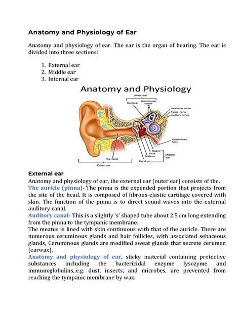 SOLUTION: Anatomy and physiology of ear - Studypool