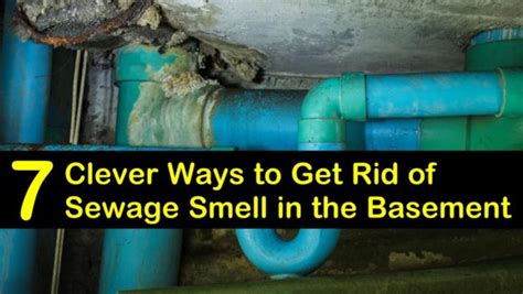 7 Clever Ways to Get Rid of Sewage Smell in the Basement