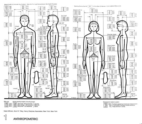 architectural graphic standards | Human dimension, Human, Architecture