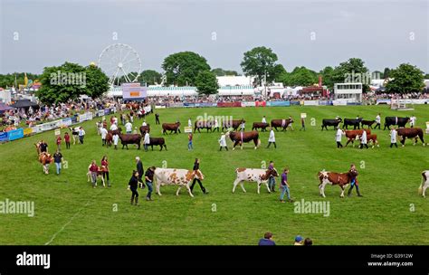 Ardingly showground hi-res stock photography and images - Alamy