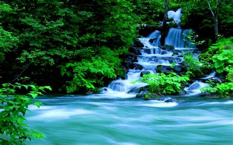 Forest Waterfall Wallpaper - WallpaperSafari