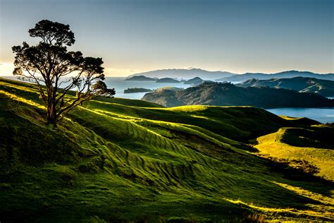 new, Zealand, Scenery, Mountains, Lake, Trees, Coromandel, Nature Wallpapers HD / Desktop and ...