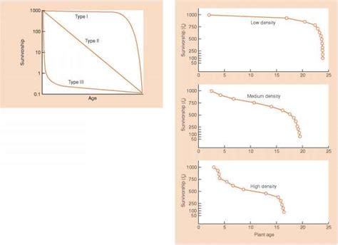 A classification of survivorship curves - Species Richness