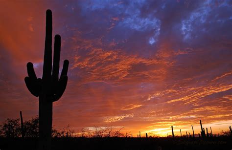 Wallpaper : sunset, red, Arizona, sky, southwest, silhouette, clouds, fire, desert, tucson ...