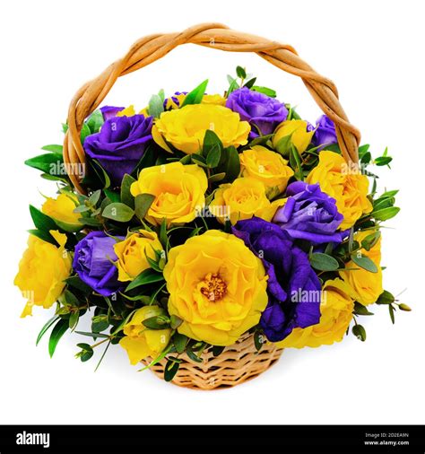 Basket with yellow and blue roses. Beautiful bouquet on white isolated ...