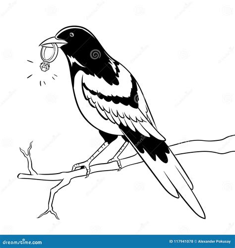 Magpie Bird On A White Background Cartoon Vector | CartoonDealer.com #203861727