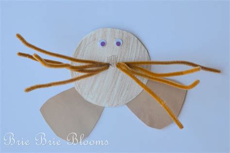 Sea Lion Kids Craft - Brie Brie Blooms | Lion kids crafts, Crafts for ...