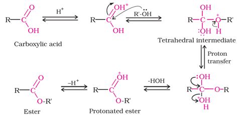 Ethanol And Ethanoic Acid